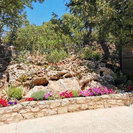 Villa Ermis - The Cretan Castello Kástellos Eksteriør bilde