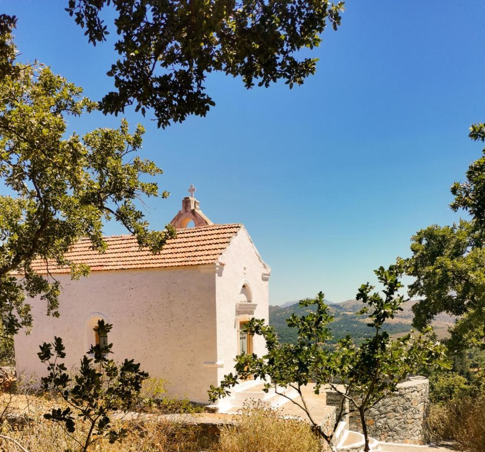 Villa Ermis - The Cretan Castello Kástellos Eksteriør bilde