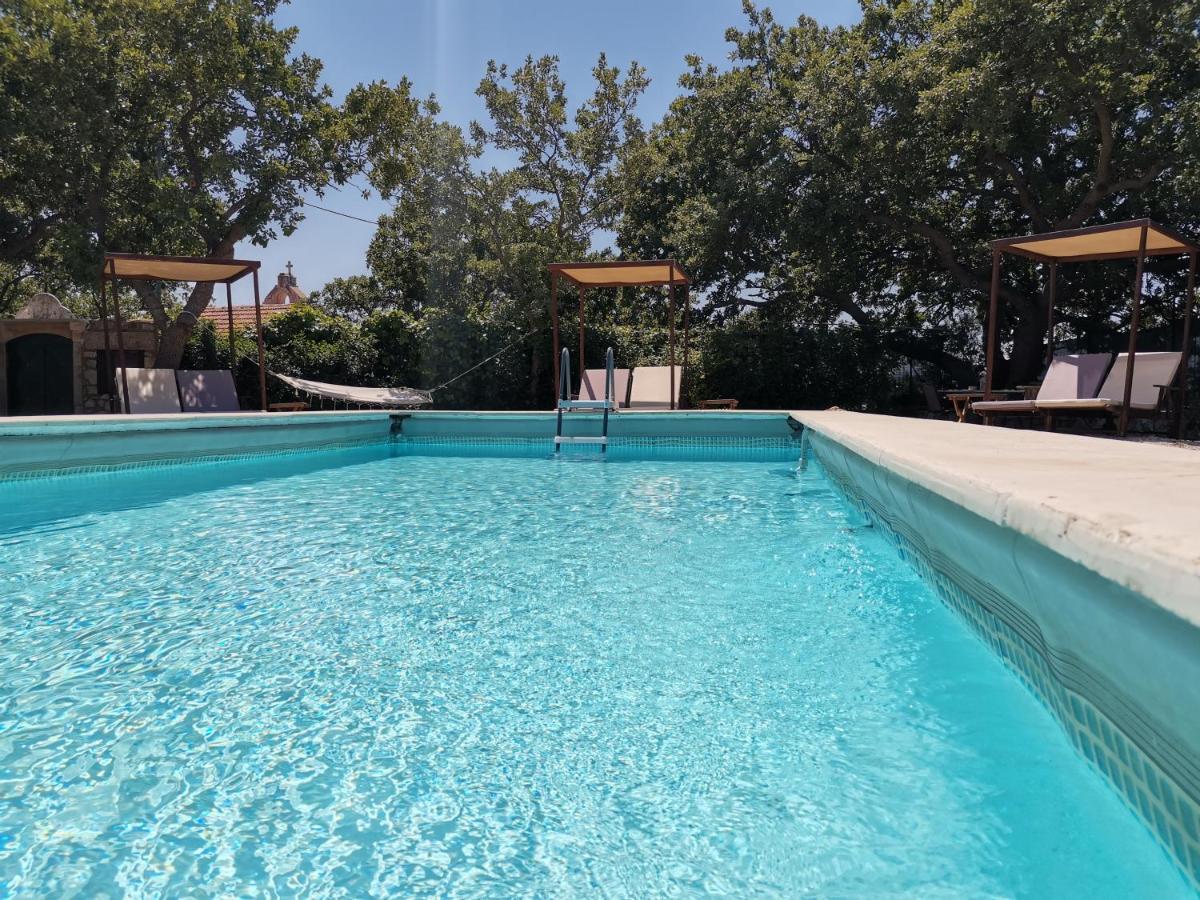 Villa Ermis - The Cretan Castello Kástellos Eksteriør bilde