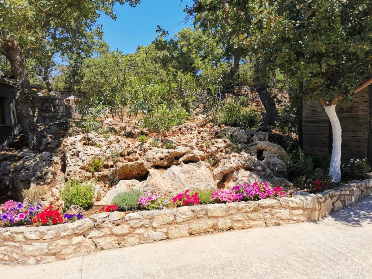 Villa Ermis - The Cretan Castello Kástellos Eksteriør bilde